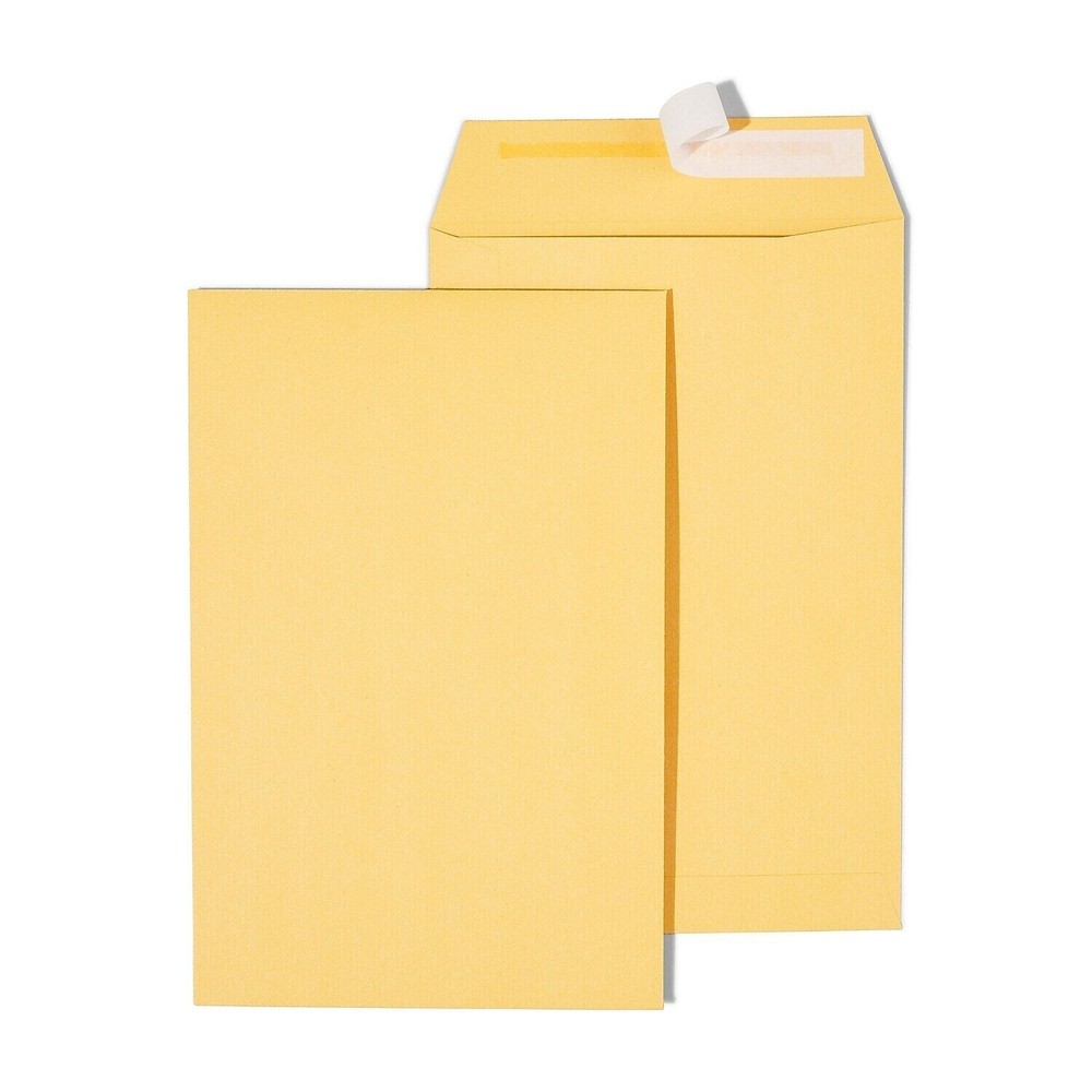 Prinko 6″x9″ Mailing Shipping Kraft Catalog Envelope, Self-Seal, 24Lb, 100/BX