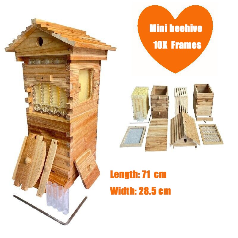 Beehive Wooden House Auto Shed Tiny Brood Bee Hives 10x Honey Frames Beekeeping