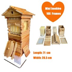 MIni 10X Beehive Bee hive Frames + Beekeeping Brood Fir Box & Bee Honey Filter