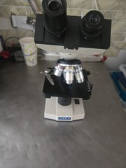 Omax Microscope