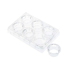 CELLTREAT Permeable Cell Cult. Insert, 6 Well, PET, 3.0um, 12/Cs, S, #230609