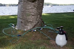 Arborists Tree Injector Tree Defend 2-liter kit w/Brass Valves