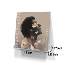 8 Pack 12-inch Vinyl Record Wall Mount, Clear Acrylic Album Record Holder Dis…