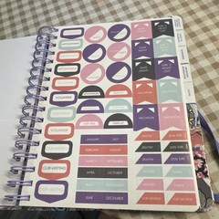 Vera Bradley Non-Dated Large Spiral Planner MADDALENA PAISLEY SOFT 12 Months NIB