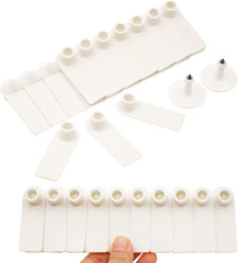 100 Blank Livestock Ear Tags for Goat, Sheep, Cattle, and Pigs (White)