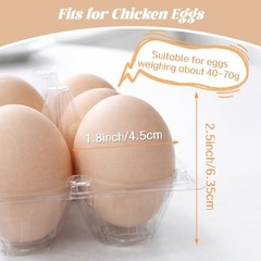 100 Packs Egg Cartons Cheap Bulk Plastic for 12 Eggs Clear Egg Cartons