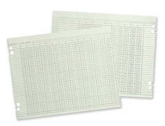 Wilson Jones Green Columnar Ruled Ledger Paper, 100 Count (Pack of 1),