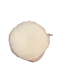 Pack of 5 Small Bubble Cushion Wrap Roll