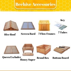 Automatic Beehive Starter Kit Cedarwood Beekeeping Box with 7pcs Auto Bee Frames