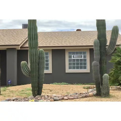 31 In. X 13.5 In. X 3.125 In. Frameless Ice Pattern Vented Glass Block Window