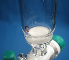 CHEMGLASS 10 ML PEPTIDE SYNTHESIS VESSEL SOLID PHASE “C” FREE SHIPPING 68-A