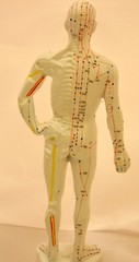 10″ human Chinese acupuncture model 26cm tall anatomical sculpture figurine New
