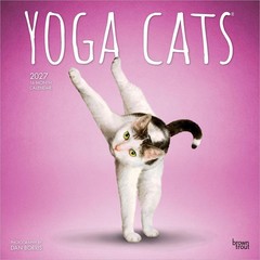 Yoga Cats OFFICIAL | 2027 12×24″ (Hanging) Square Wall Calendar | Plastic-Free