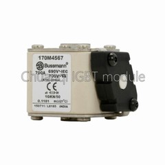Bussmann Fuse New 170M4564 170M4565 170M4566 170M4567 170M4568 170M4569