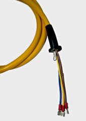 Replacement Pendant Control Station for CM Chain Hoist Lodestar or Valustar