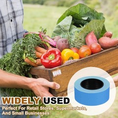 Pricing Labels 10 Rolls 5000 Price Price Gun Labels Blue