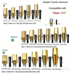Regular Hex Straight Titanium Abutment for Cement Retained Crown Fits Hiossen ET