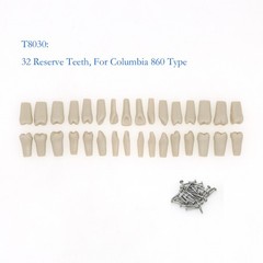 US 32Pcs Dental Individual Replacement Teeth Fits Columbia 860 Typodont Model
