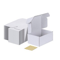 9x6x4 Inches Shipping Boxes Pack of 25, White Corrugated Cardboard Box for Maili