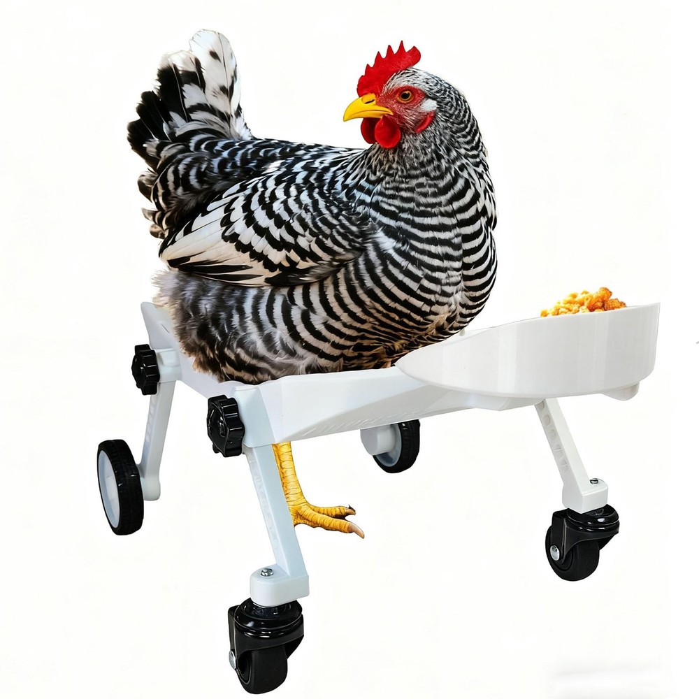 Adjustable Small-Scale Pet Chicken Wheelchair – Small Pet Poultry Mobility Ai…