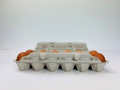 Printed Egg Carton (Chicken) – 100 units