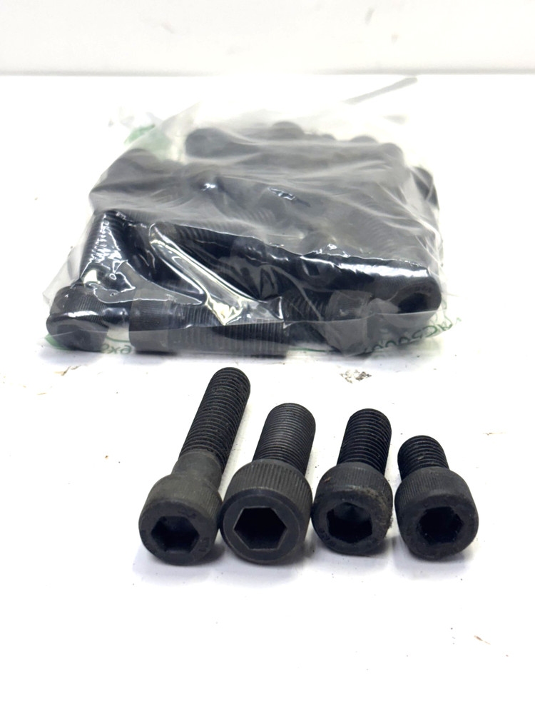 ASSORTED LOT OF 41 SOCKET SCREWS SIZES 1/2-13 AND 5/8-11 ASSORTED LENGTHS