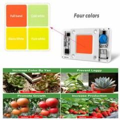 50W 110V 220V LED COB Chip Lamp Floodlight Smart-IC Bulb Bead Warm/Cold White