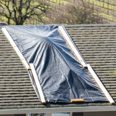 Vapor Barrier Supply – Poly Cover Black Vapor Barrier Plastic Sheeting – 10 Mil
