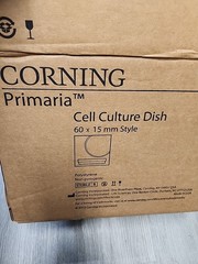 CORNING 60mm x 15mm Polystyrene Disposable Cell Culture Dish (20/pk) 353802