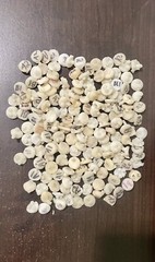 Ivoclar E-max small ingots HT 150 grams pressed ones assorted shades