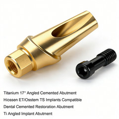 Hiossen ET Dental TI Cement-retained restoration 17° Angulated Abutment M/R Hex