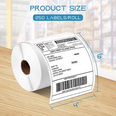 2 Rolls 250/Roll 4×6 Direct Thermal Shipping Labels For Zebra 2844 GK-420D Rollo