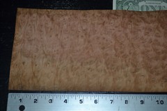 Eucalyptus Burl Raw Wood Veneer Sheet 6 x 20 inches 1/42nd 7369-3