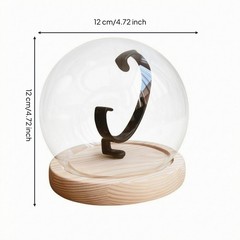 Single Watch Showcase Compact Watch Dome Display Modern and Minimalist