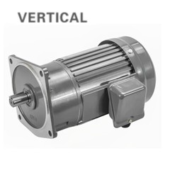 28mm High-Quality 200W Electric Gear Motor Speed Reduction Variable Single Phase