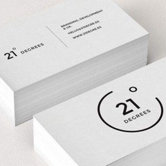10 Rolls 30374 Non-Adhesive Appointment Business 300 Card for LW 2” x 3 1/2”