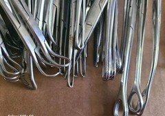 Lot of 200+ Assorted Tissue Forceps Straight, curved, tissue and scissors..