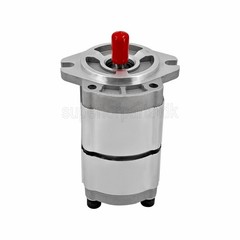 NEW Hydraulic Pump Double Acting Two Section for AGT-H15R Mini Excavators