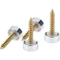 4 Pair Decorative Screw with Caps Used as Mirror Screw Upholstery Tacks