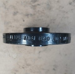 USA Sealing ANSI 600 3/4″ A105 16005 Pipe Flange