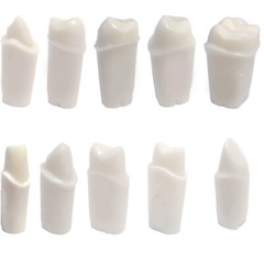 Crown Prepped Ivorine Teeth For Typodont 200 – 5 or 10 PACK Compatible w Nissin