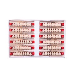 Dental Denture Teeth Acrylic Resin Teeth Full Set Upper Lower A1/A2/A3 3/8/16Set