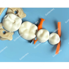 Dental Diamond Wedges Deep Caries Wedge Fit Matrice Bioclear Clear Matrix USA US