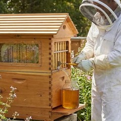 Bee Hive Boxes, Bee Hive Starter Kit – With 7 Flowing Bee Hive Frames