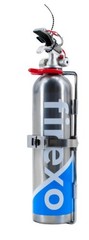 FIREXO Small Stainless Steel All Fires Fire Extinguisher Dry Powder 500 ml