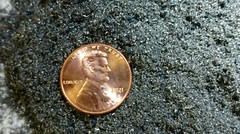 Steel Shavings Metal Filings Arts, Crafts, Models, Orgone 1LB (fine blend)