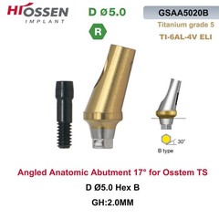 Anatomic Titanium Angulated Abutment 17 Degree Angle Regular Ø5.0mm For Hiossen