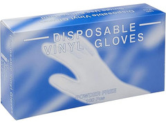 Disposable Vinyl Gloves, Latex Free, Case of 1000 Gloves – Large