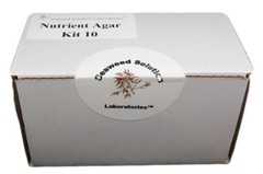 Nutrient Agar Kit- Yields 10, 100mm Petri Dishes – FREE SHIPPING!!!