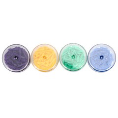 Dental Disposable Wedges Plastic for Dental Fillings Tooth Gap Wedges 4 Colors